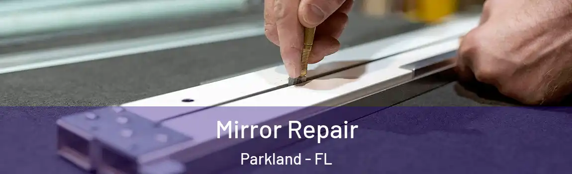 Mirror Repair Parkland - FL